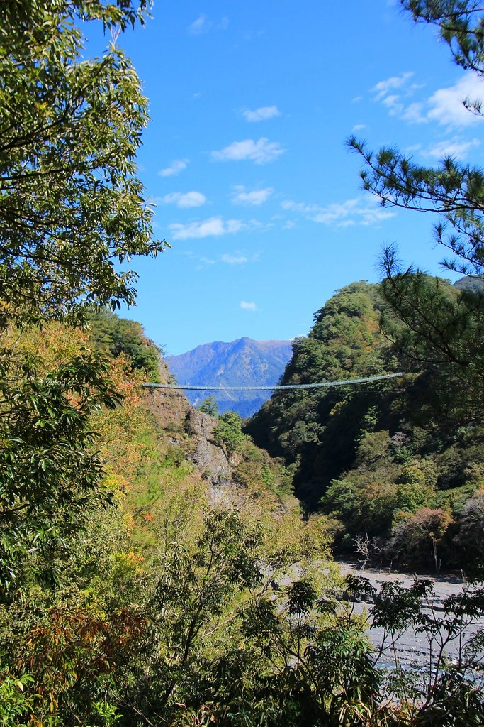 南投一日遊:奧萬大賞秋楓,南投最後一片淨土武界部落,在地隱藏版溫泉春陽部落 @飛天璇的口袋