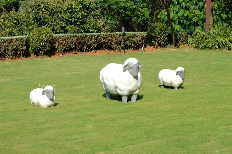 【嘉義東區】幸福山丘 Happy Hill,嘉義IG熱門打卡點、甜點下午茶餐廳、親子旅遊景點 @飛天璇的口袋
