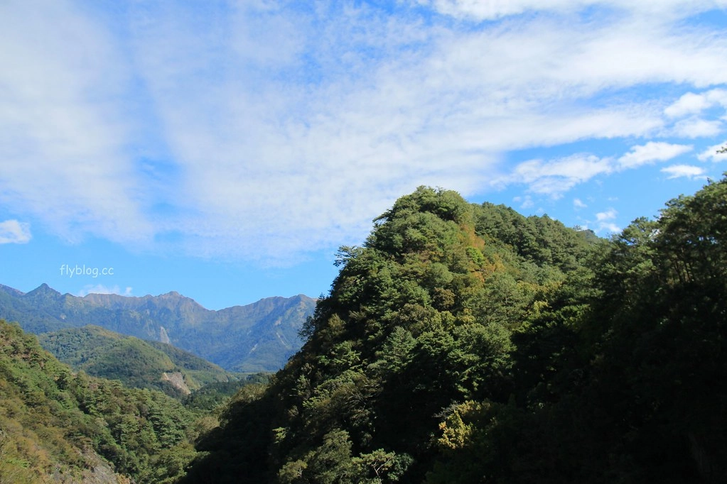 南投一日遊:奧萬大賞秋楓,南投最後一片淨土武界部落,在地隱藏版溫泉春陽部落 @飛天璇的口袋