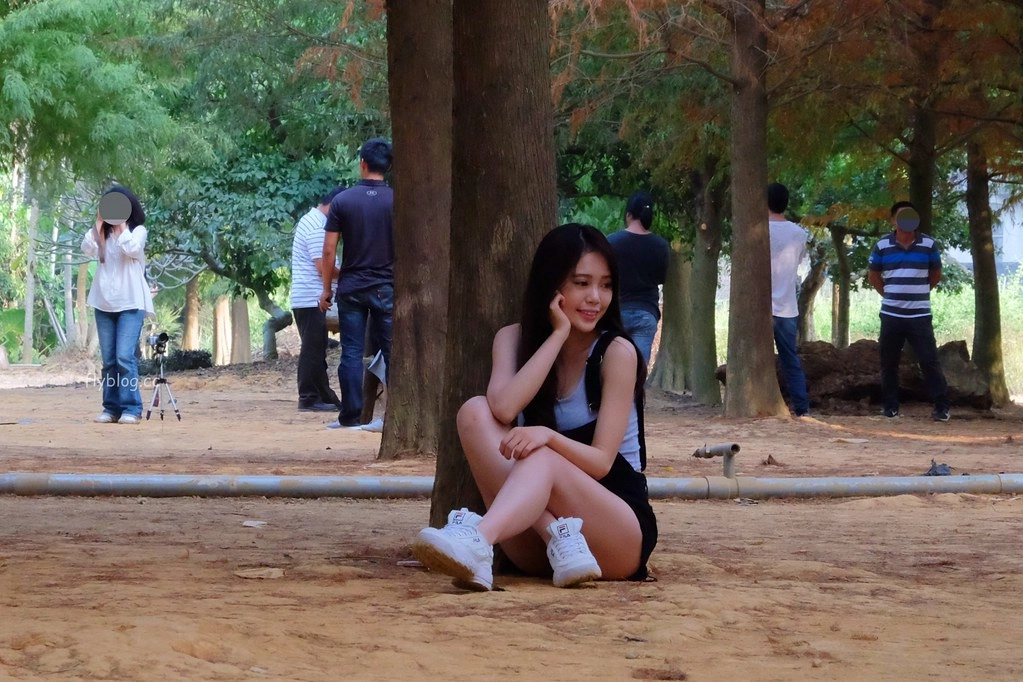 【南投景點】落羽松秘境,充滿異國風情的IG打卡聖地,欣賞金黃橘紅交織的落羽松變裝秀,139線南投與彰化交界 @飛天璇的口袋