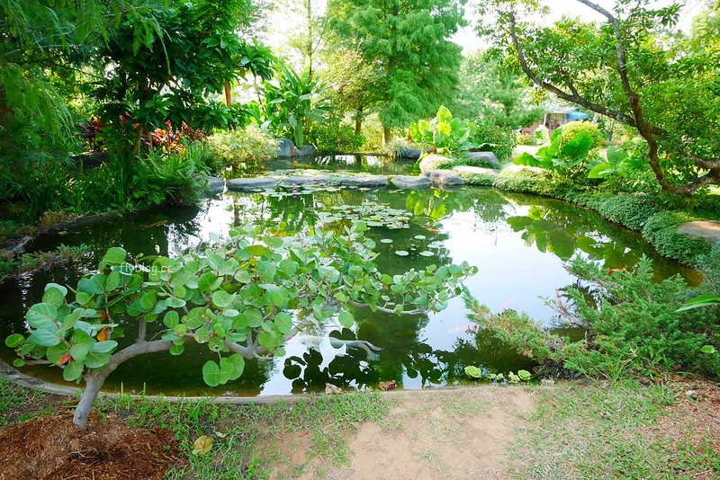 【嘉義東區】幸福山丘 Happy Hill,嘉義IG熱門打卡點、甜點下午茶餐廳、親子旅遊景點 @飛天璇的口袋