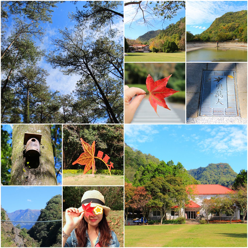 南投一日遊:奧萬大賞秋楓,南投最後一片淨土武界部落,在地隱藏版溫泉春陽部落 @飛天璇的口袋