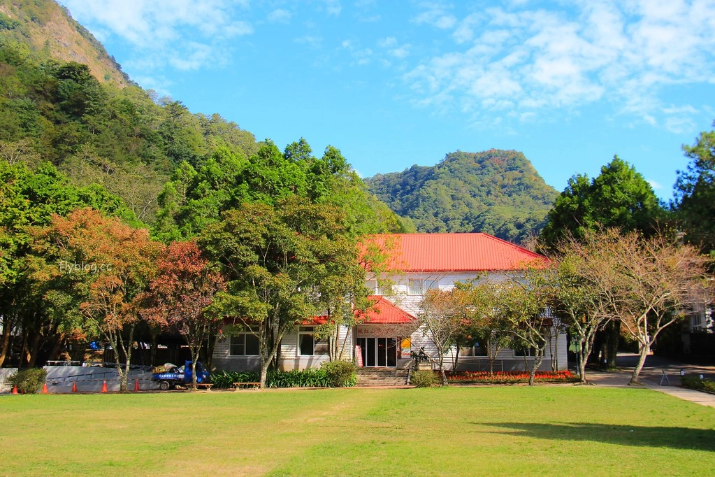 南投一日遊:奧萬大賞秋楓,南投最後一片淨土武界部落,在地隱藏版溫泉春陽部落 @飛天璇的口袋
