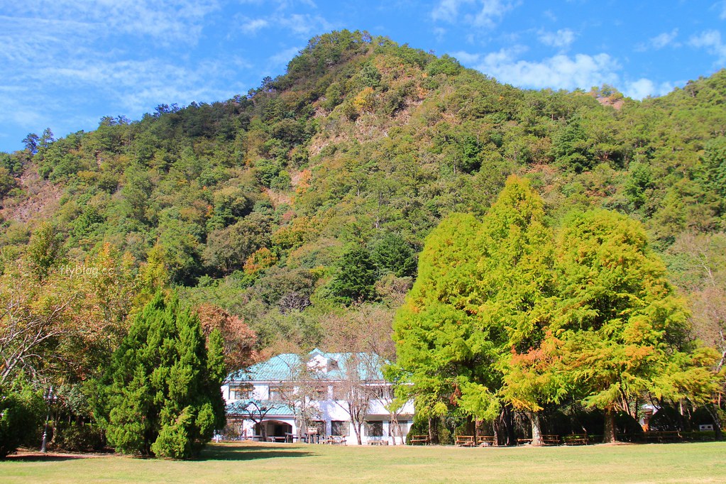 南投一日遊:奧萬大賞秋楓,南投最後一片淨土武界部落,在地隱藏版溫泉春陽部落 @飛天璇的口袋