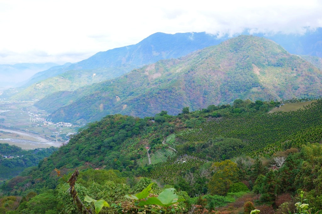 【南投信義】烏松崙石家梅園,南投三大賞梅景點之一,居高鄰下鳥瞰陳友蘭溪之美 @飛天璇的口袋