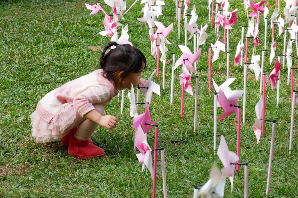 台中新社|安妮公主花園|新社浪漫的粉紅景觀餐廳,親子、情侶假日休閒的好去處 @飛天璇的口袋