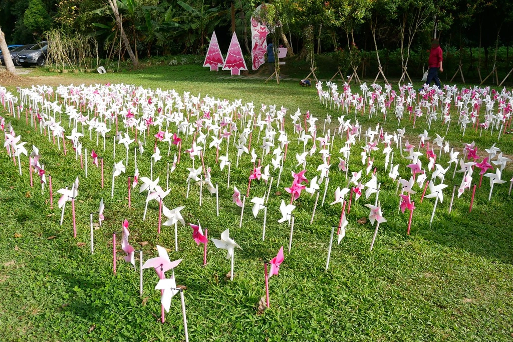 台中新社|安妮公主花園|新社浪漫的粉紅景觀餐廳,親子、情侶假日休閒的好去處 @飛天璇的口袋