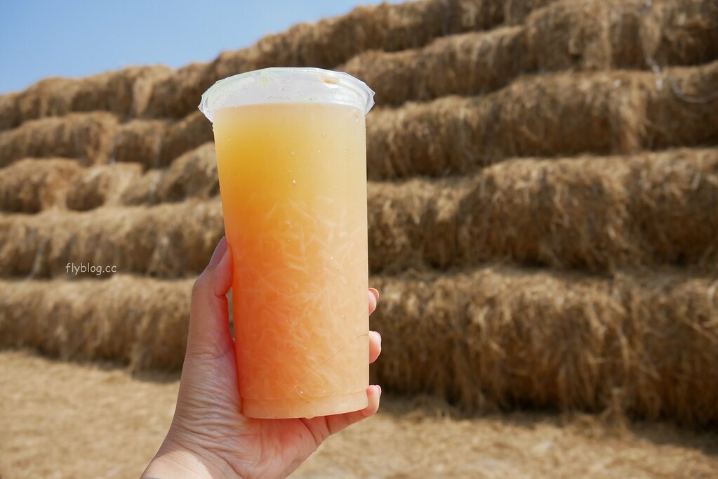 知更鳥巢鮮果茶飲|在地人更推這間葡萄柚綠,整整2/3杯的果肉超滿足 @飛天璇的口袋