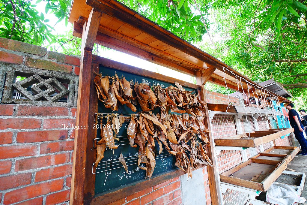 霧峰光復新村|眷村老宅新生命,結合文創與藝文,台中假日休閒的好地方 @飛天璇的口袋