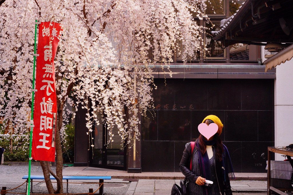 日本京都|六角堂 X 星巴克|日本Starbucks特色店,坐在落地窗前欣賞千年佛寺櫻花美景 @飛天璇的口袋