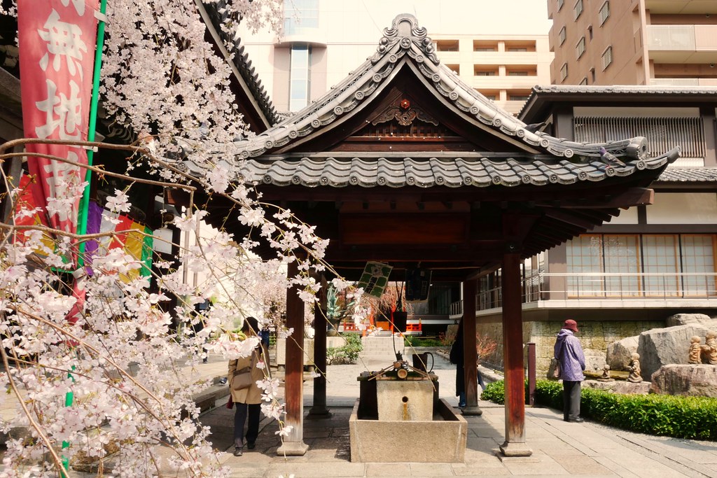 日本京都|六角堂 X 星巴克|日本Starbucks特色店,坐在落地窗前欣賞千年佛寺櫻花美景 @飛天璇的口袋