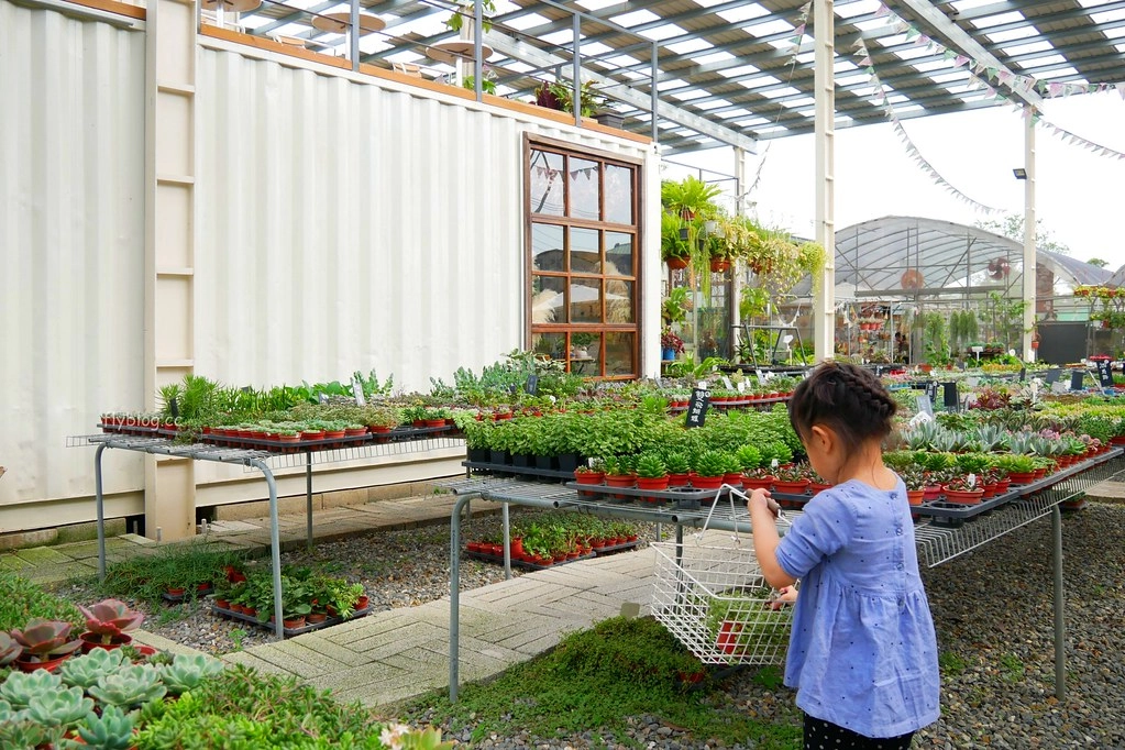 綠果庭院|田尾多肉植物控的天堂,彰化田尾IG熱門打卡景點 @飛天璇的口袋
