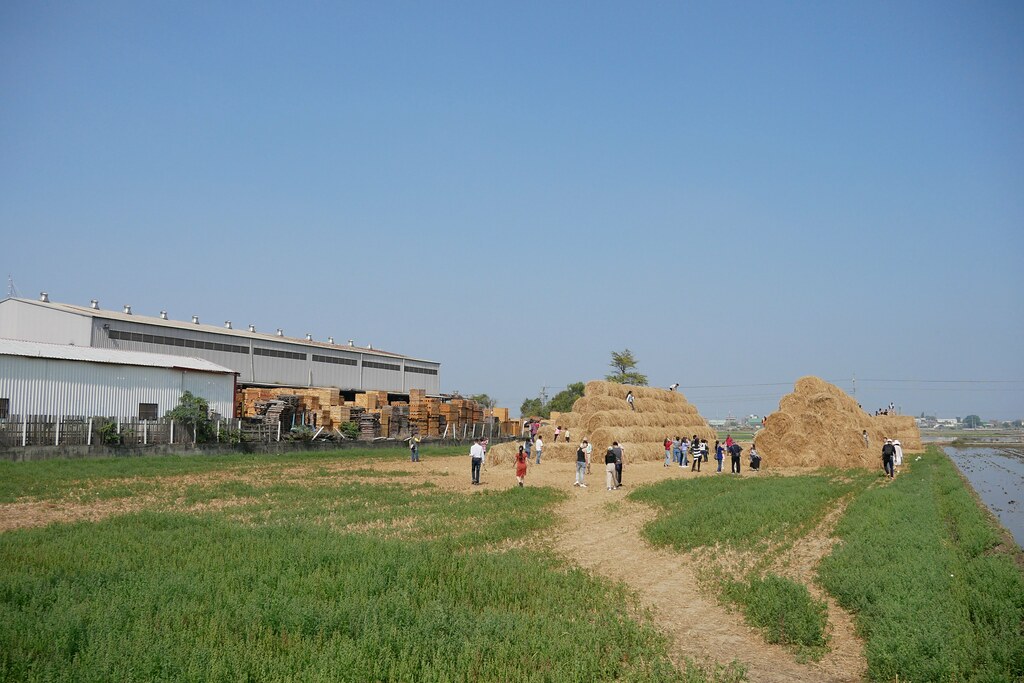 稻草捲心酥:草地上巨型咖啡捲心酥,IG打卡熱門景點,嘉義新港就有哦! @飛天璇的口袋