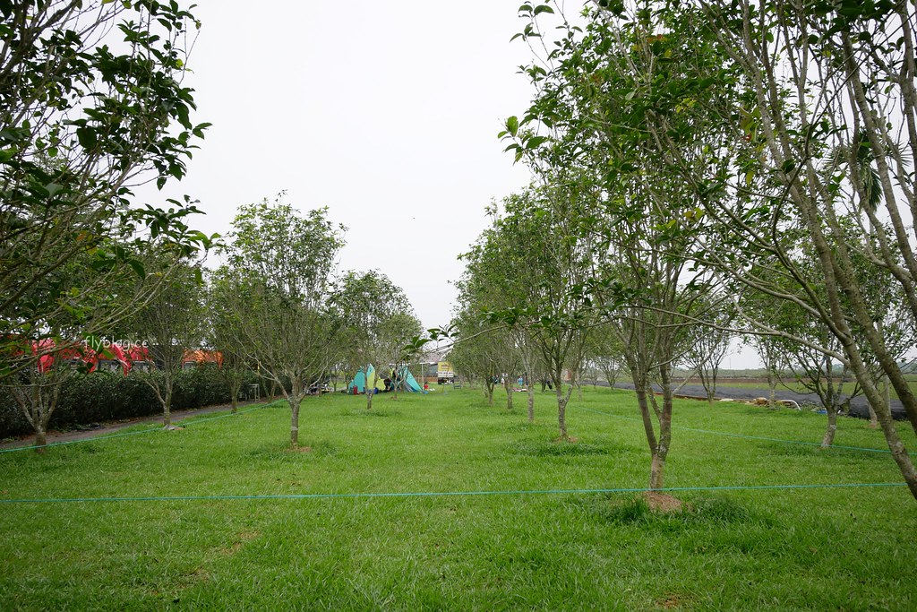 茶二指故事館|超好拍觀光茶園,投進大自然的懷抱,日本和服體驗、茶葉DIY手作課程、可愛彩色水管屋 @飛天璇的口袋