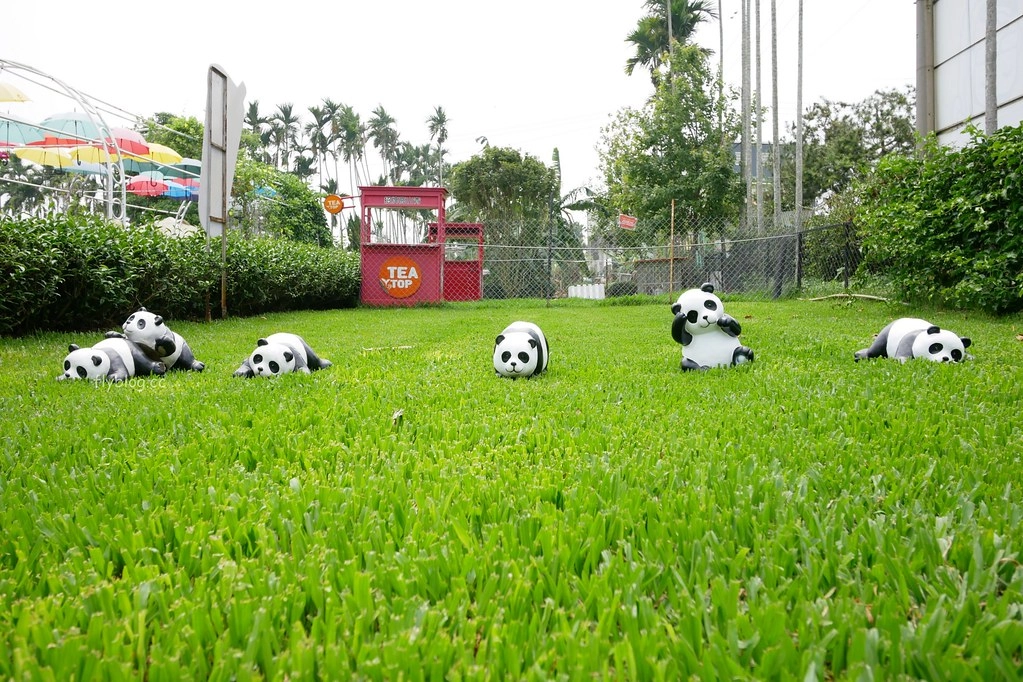 茶二指故事館|超好拍觀光茶園,投進大自然的懷抱,日本和服體驗、茶葉DIY手作課程、可愛彩色水管屋 @飛天璇的口袋