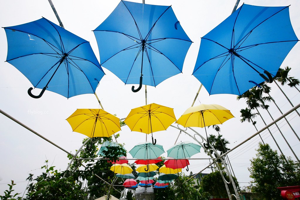茶二指故事館|超好拍觀光茶園,投進大自然的懷抱,日本和服體驗、茶葉DIY手作課程、可愛彩色水管屋 @飛天璇的口袋