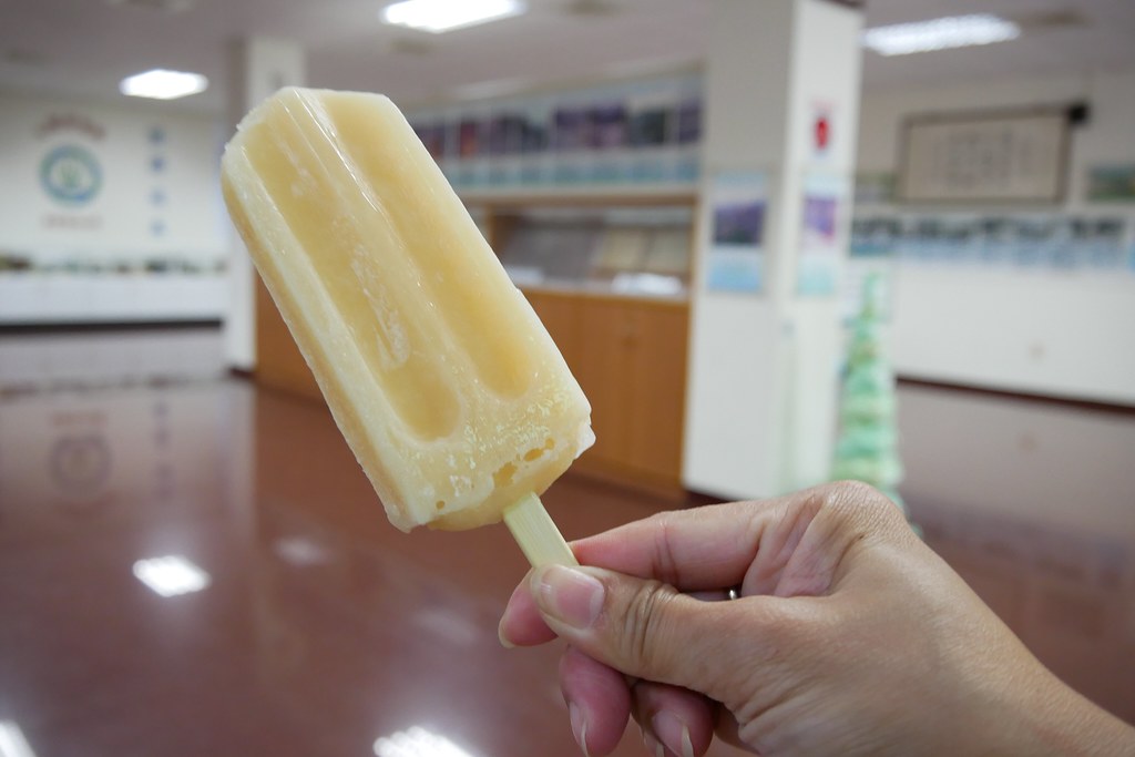 【南投水里】明潭水庫 X 大觀發電廠:在地人推薦南投秘密旅遊景點,還可以品嚐電廠獨家販售枝仔冰 @飛天璇的口袋