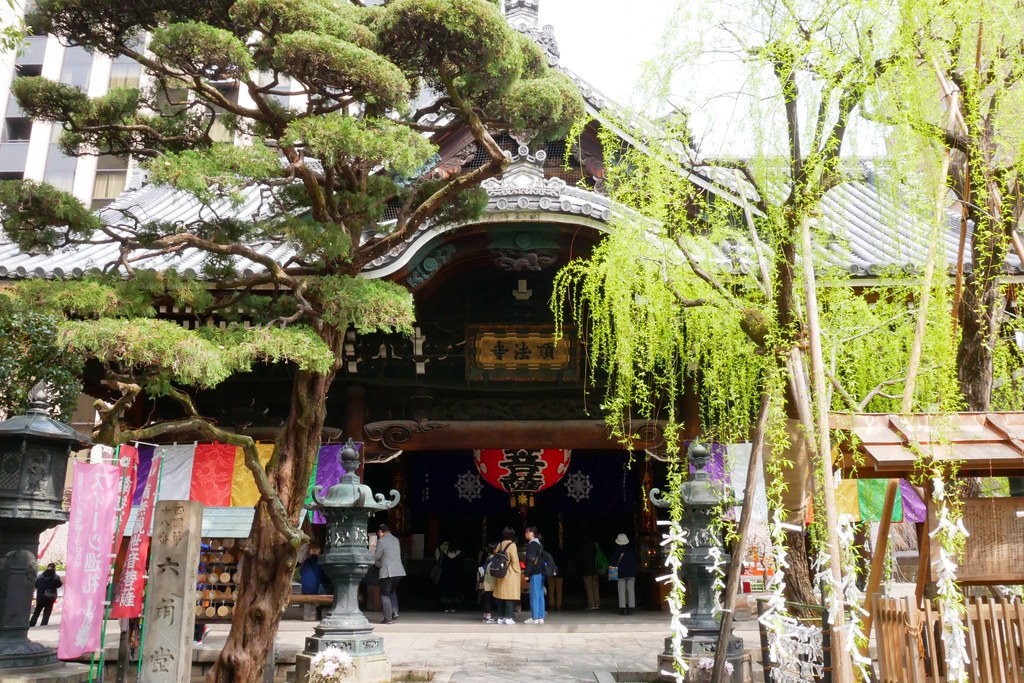 日本京都|六角堂 X 星巴克|日本Starbucks特色店,坐在落地窗前欣賞千年佛寺櫻花美景 @飛天璇的口袋