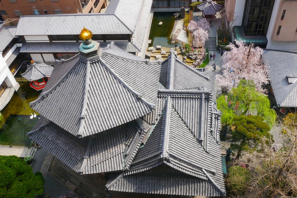 日本京都|六角堂 X 星巴克|日本Starbucks特色店,坐在落地窗前欣賞千年佛寺櫻花美景 @飛天璇的口袋