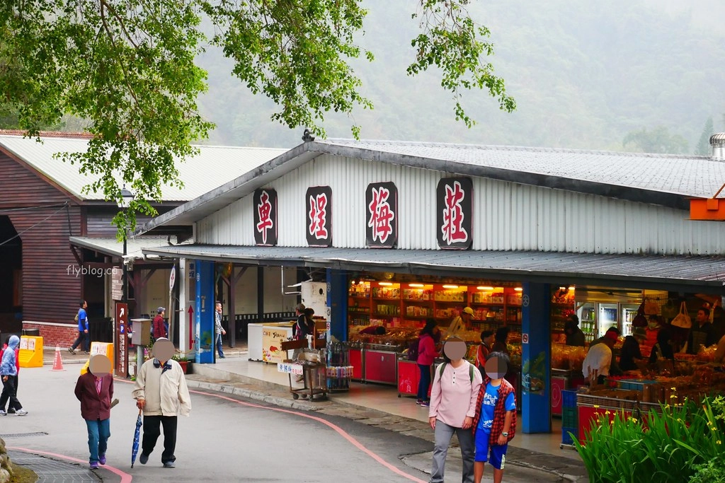 南投水里|車埕一日遊.搭乘小火車,絕美貯木池,車埕美食景點推薦 @飛天璇的口袋 南投水里|車埕一日遊.搭乘小火車,絕美貯木池,車埕美食景點推薦 @飛天璇的口袋