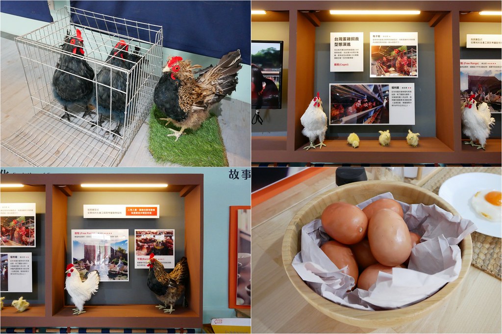 蛋寶生技不老村┃桃園旅遊:充滿日本江戶風情的觀光工廠,紅色大鳥居IG桃園打卡熱門景點 @飛天璇的口袋