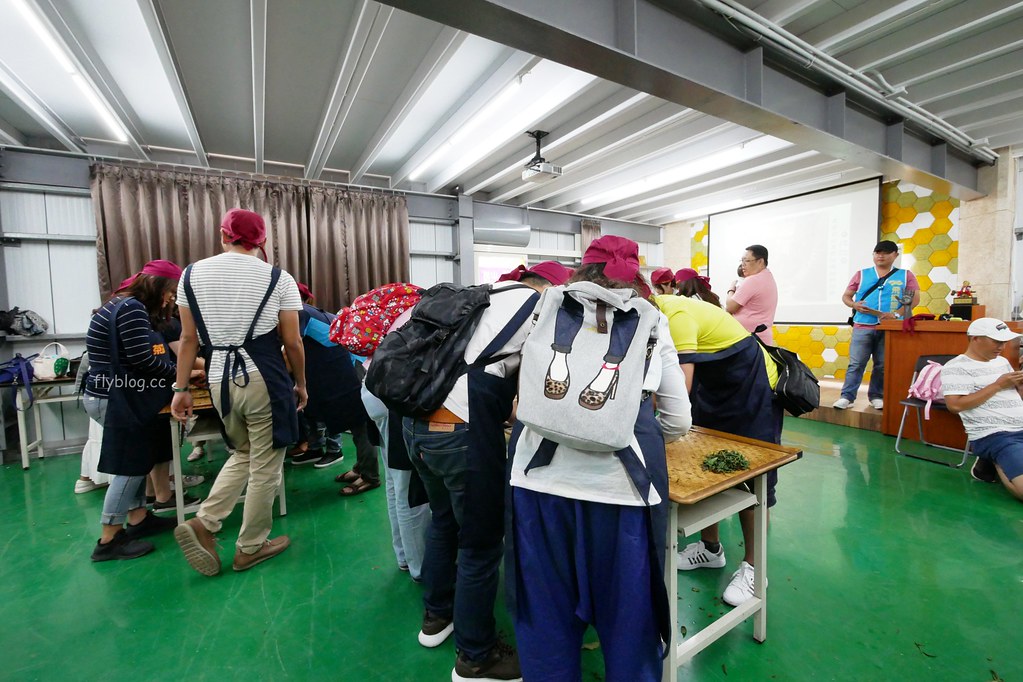 茶二指故事館|超好拍觀光茶園,投進大自然的懷抱,日本和服體驗、茶葉DIY手作課程、可愛彩色水管屋 @飛天璇的口袋