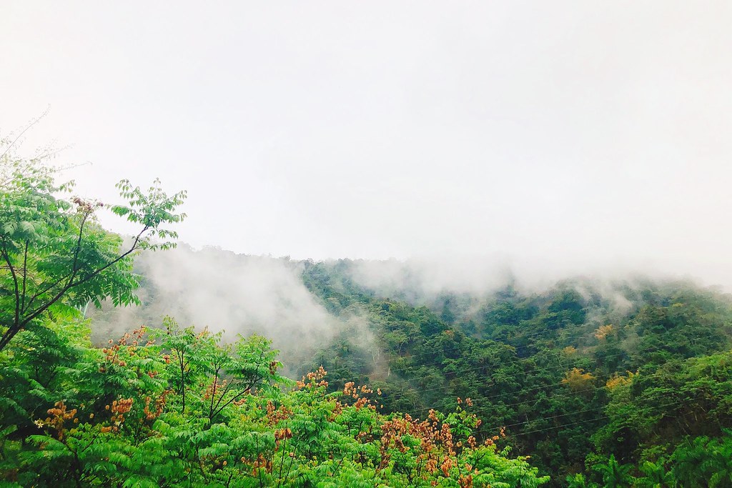 【南投水里】明潭水庫 X 大觀發電廠:在地人推薦南投秘密旅遊景點,還可以品嚐電廠獨家販售枝仔冰 @飛天璇的口袋