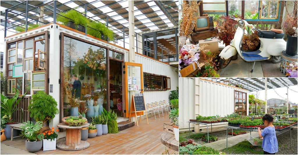 綠果庭院|田尾多肉植物控的天堂,彰化田尾IG熱門打卡景點 @飛天璇的口袋