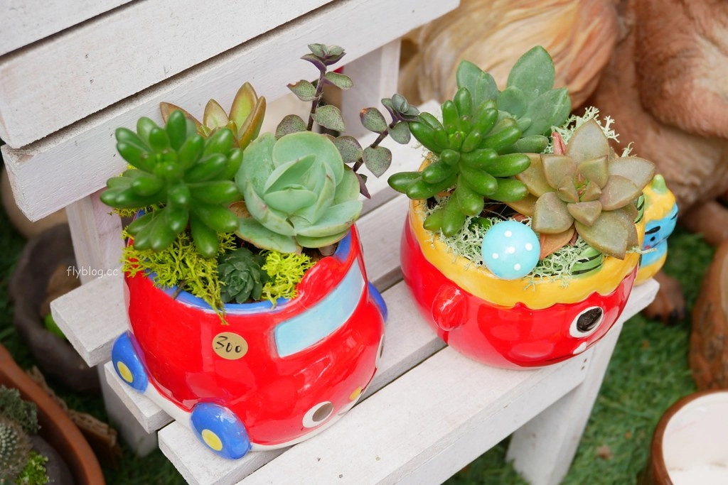 綠果庭院|田尾多肉植物控的天堂,彰化田尾IG熱門打卡景點 @飛天璇的口袋