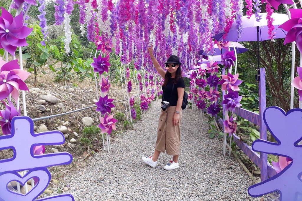 【苗栗西湖】噢哈娜咖啡屋,浪漫紫色愛情傘、夢幻紫色步道、季節限定紫藤花…苗栗情侶約會親子旅遊的好地方 @飛天璇的口袋