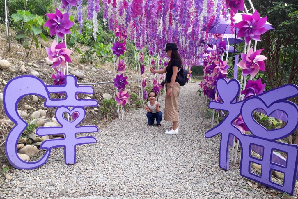 【苗栗西湖】噢哈娜咖啡屋,浪漫紫色愛情傘、夢幻紫色步道、季節限定紫藤花…苗栗情侶約會親子旅遊的好地方 @飛天璇的口袋