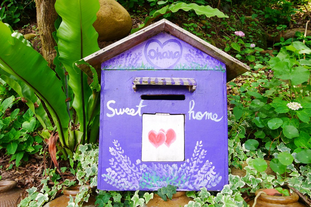 【苗栗西湖】噢哈娜咖啡屋,浪漫紫色愛情傘、夢幻紫色步道、季節限定紫藤花…苗栗情侶約會親子旅遊的好地方 @飛天璇的口袋