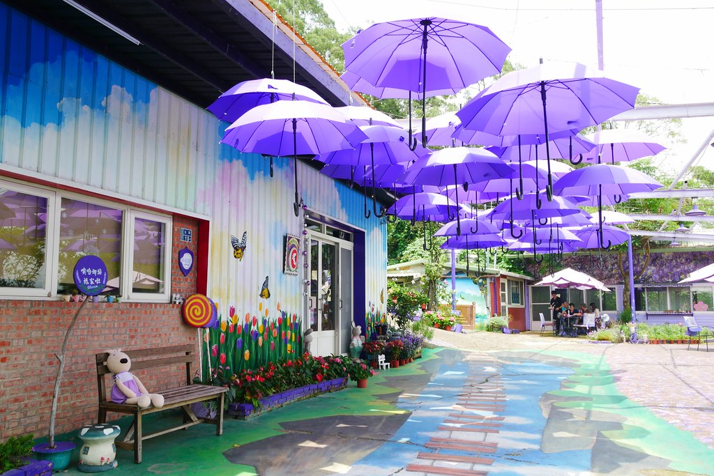 【苗栗西湖】噢哈娜咖啡屋,浪漫紫色愛情傘、夢幻紫色步道、季節限定紫藤花…苗栗情侶約會親子旅遊的好地方 @飛天璇的口袋