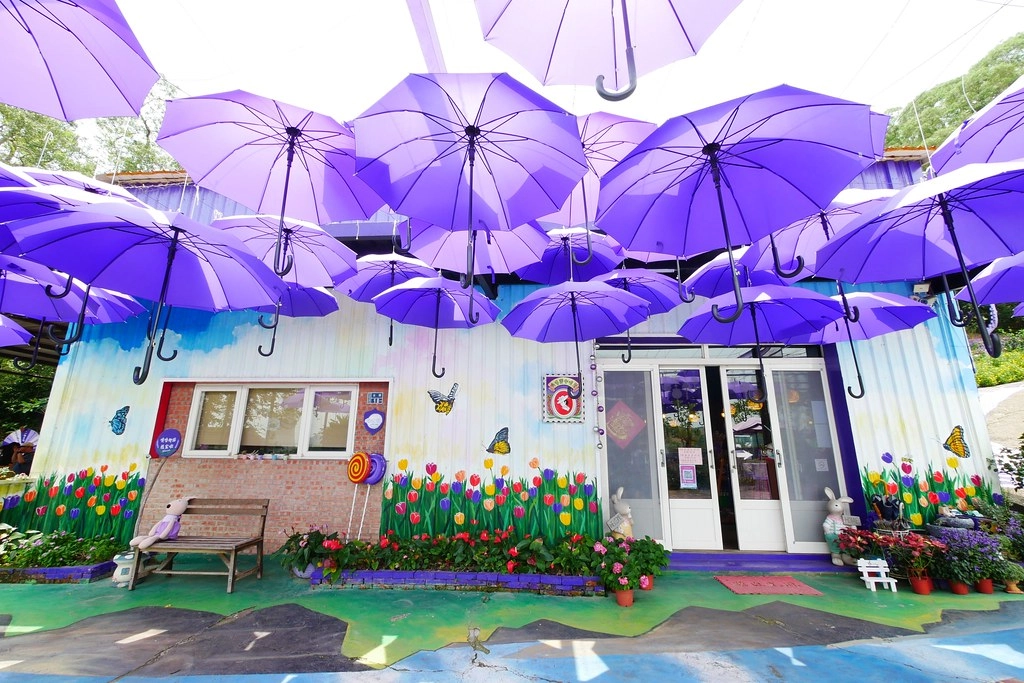 【苗栗西湖】噢哈娜咖啡屋,浪漫紫色愛情傘、夢幻紫色步道、季節限定紫藤花…苗栗情侶約會親子旅遊的好地方 @飛天璇的口袋