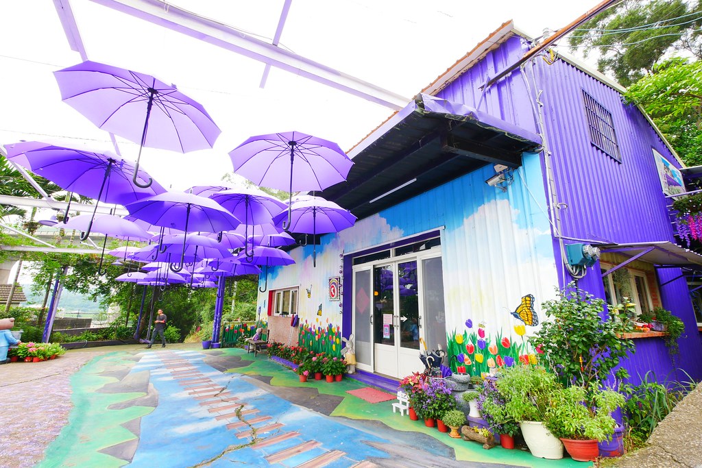 【苗栗西湖】噢哈娜咖啡屋,浪漫紫色愛情傘、夢幻紫色步道、季節限定紫藤花…苗栗情侶約會親子旅遊的好地方 @飛天璇的口袋