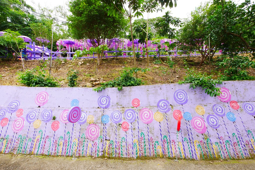 【苗栗西湖】噢哈娜咖啡屋,浪漫紫色愛情傘、夢幻紫色步道、季節限定紫藤花…苗栗情侶約會親子旅遊的好地方 @飛天璇的口袋