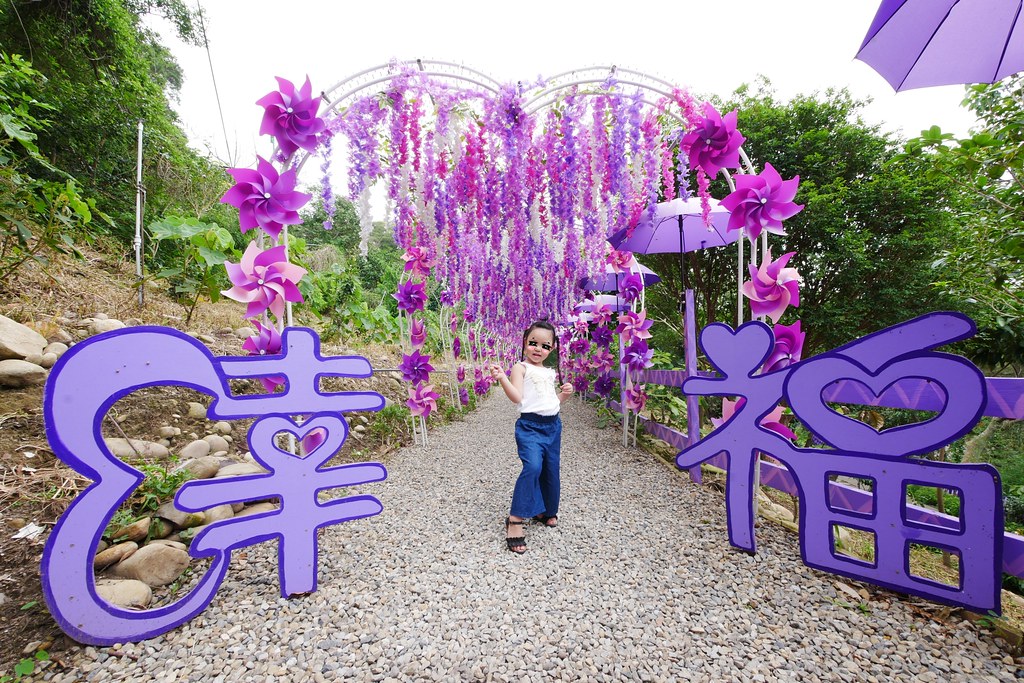 【苗栗西湖】噢哈娜咖啡屋,浪漫紫色愛情傘、夢幻紫色步道、季節限定紫藤花…苗栗情侶約會親子旅遊的好地方 @飛天璇的口袋