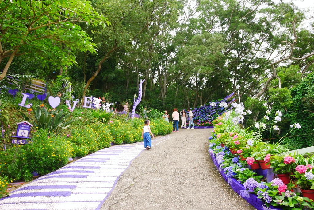 【苗栗西湖】噢哈娜咖啡屋,浪漫紫色愛情傘、夢幻紫色步道、季節限定紫藤花…苗栗情侶約會親子旅遊的好地方 @飛天璇的口袋