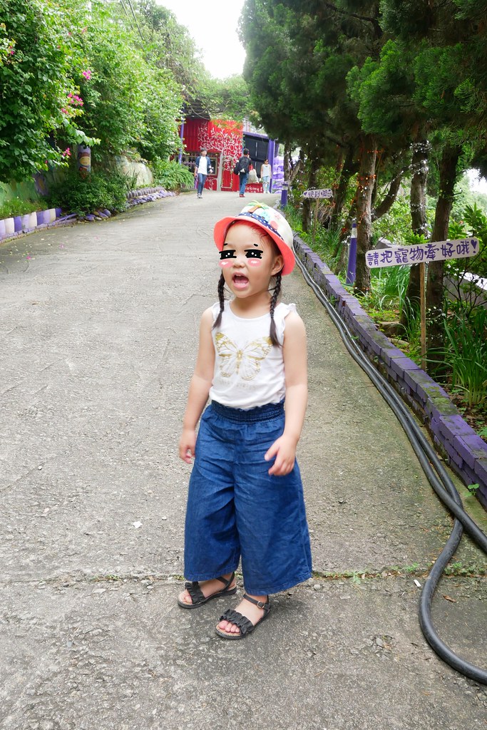 【苗栗西湖】噢哈娜咖啡屋,浪漫紫色愛情傘、夢幻紫色步道、季節限定紫藤花…苗栗情侶約會親子旅遊的好地方 @飛天璇的口袋