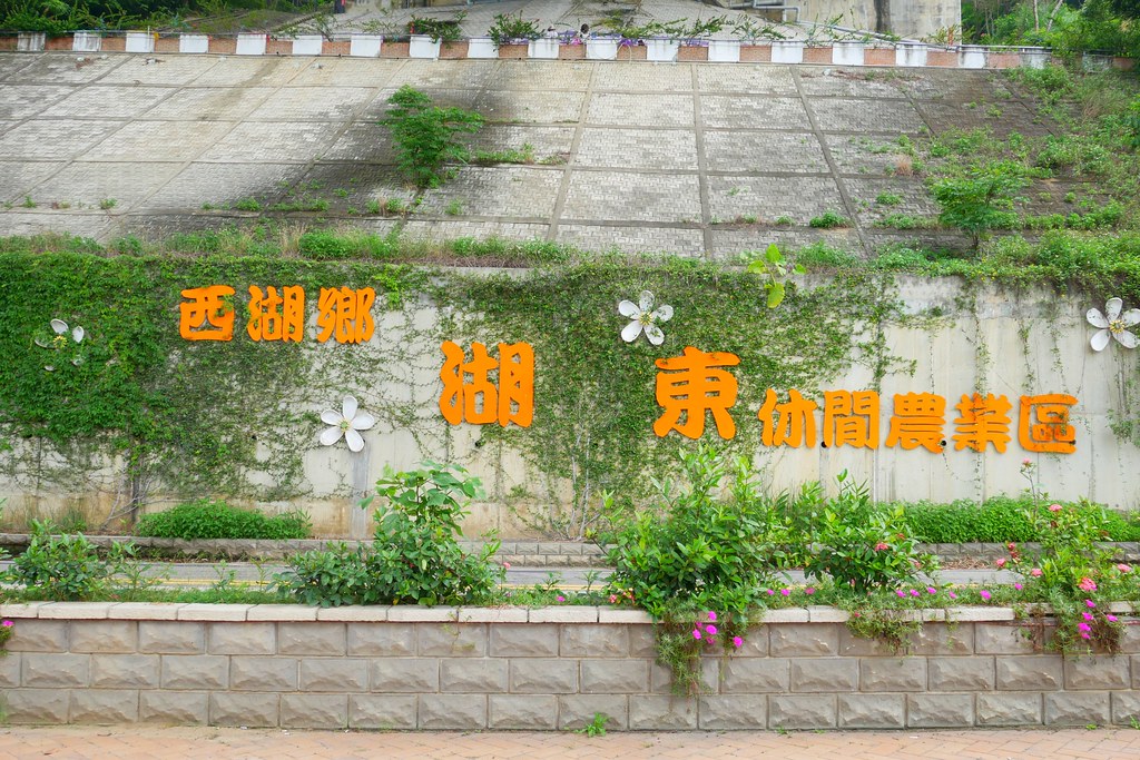 【苗栗西湖】噢哈娜咖啡屋,浪漫紫色愛情傘、夢幻紫色步道、季節限定紫藤花…苗栗情侶約會親子旅遊的好地方 @飛天璇的口袋