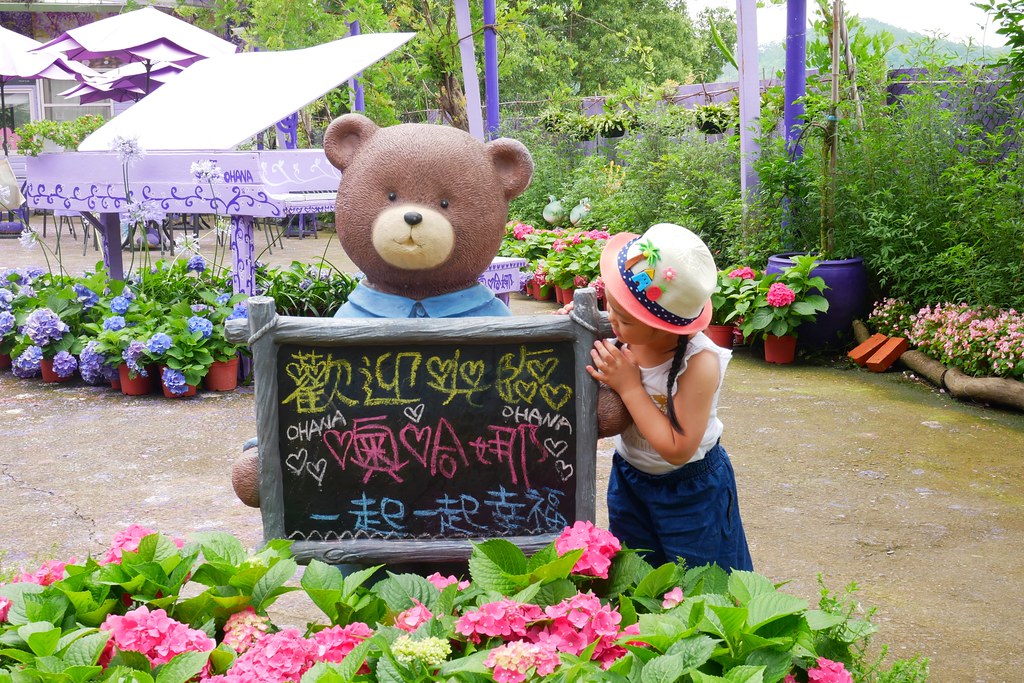 【苗栗西湖】噢哈娜咖啡屋,浪漫紫色愛情傘、夢幻紫色步道、季節限定紫藤花…苗栗情侶約會親子旅遊的好地方 @飛天璇的口袋