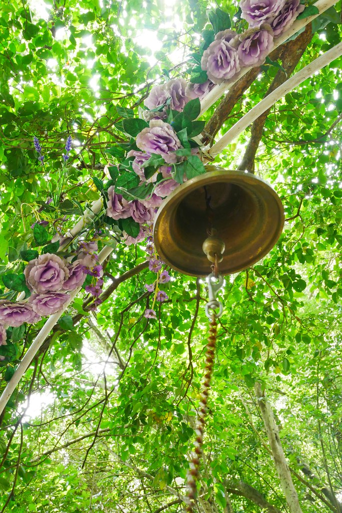 【苗栗西湖】噢哈娜咖啡屋,浪漫紫色愛情傘、夢幻紫色步道、季節限定紫藤花…苗栗情侶約會親子旅遊的好地方 @飛天璇的口袋