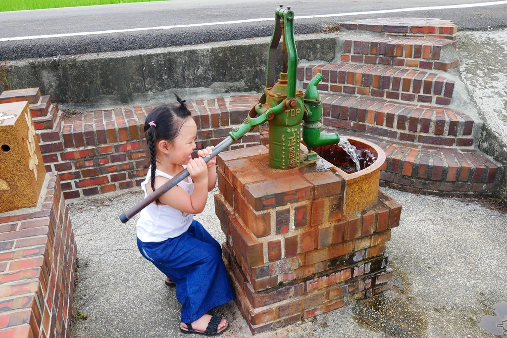 黃金一路金城武樹┃苗栗旅遊:苗栗西湖也有傳說中的伯朗大道,沿著環鄉小徑遇見金城武樹 @飛天璇的口袋