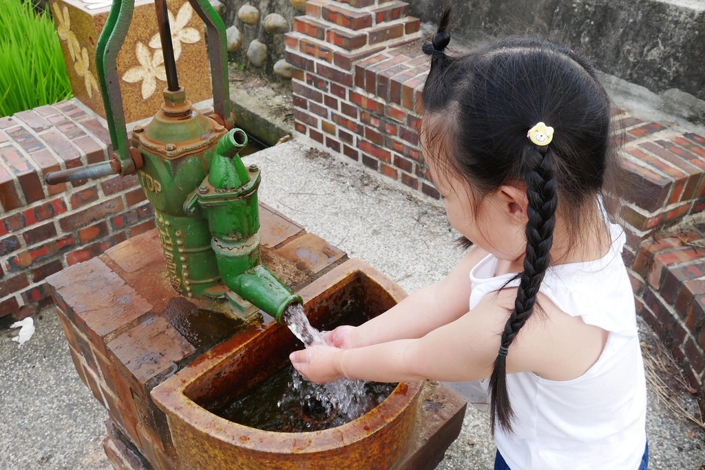 黃金一路金城武樹┃苗栗旅遊:苗栗西湖也有傳說中的伯朗大道,沿著環鄉小徑遇見金城武樹 @飛天璇的口袋