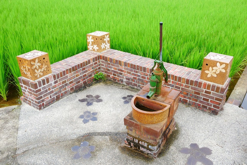 黃金一路金城武樹┃苗栗旅遊:苗栗西湖也有傳說中的伯朗大道,沿著環鄉小徑遇見金城武樹 @飛天璇的口袋