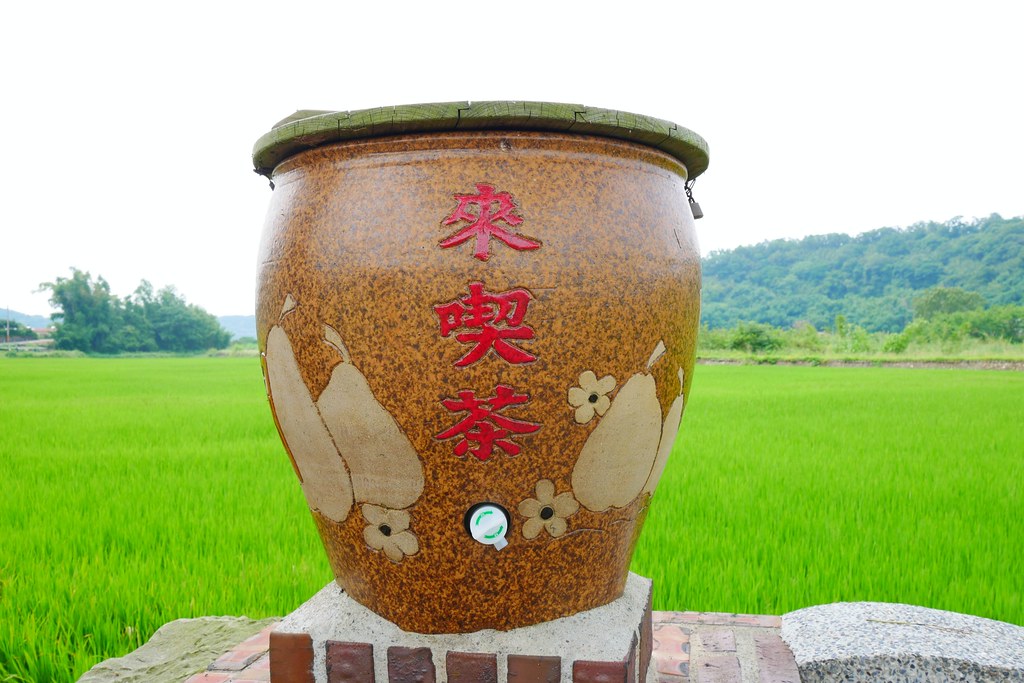 黃金一路金城武樹┃苗栗旅遊:苗栗西湖也有傳說中的伯朗大道,沿著環鄉小徑遇見金城武樹 @飛天璇的口袋