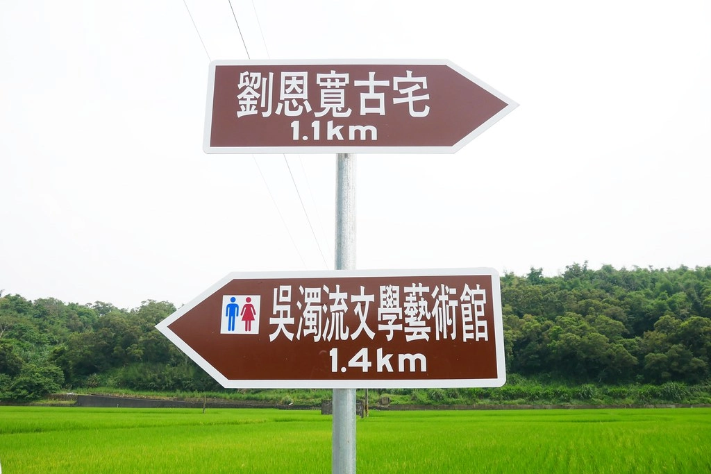 黃金一路金城武樹┃苗栗旅遊:苗栗西湖也有傳說中的伯朗大道,沿著環鄉小徑遇見金城武樹 @飛天璇的口袋