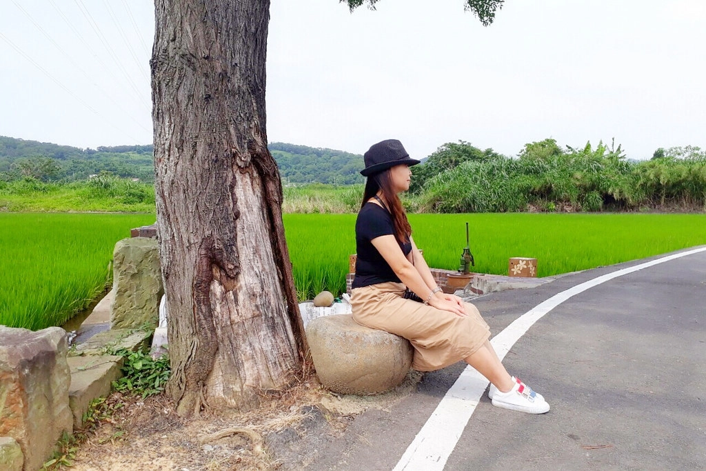 黃金一路金城武樹┃苗栗旅遊:苗栗西湖也有傳說中的伯朗大道,沿著環鄉小徑遇見金城武樹 @飛天璇的口袋