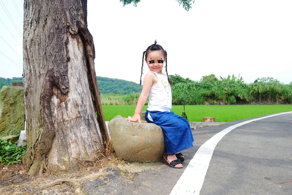 黃金一路金城武樹┃苗栗旅遊:苗栗西湖也有傳說中的伯朗大道,沿著環鄉小徑遇見金城武樹 @飛天璇的口袋