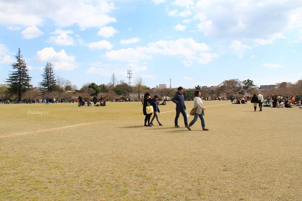 日本兵庫|姬路城,日本第一大名城,雪白外觀又稱白鷺城(含交通方式、美食推薦、拍照地點) @飛天璇的口袋